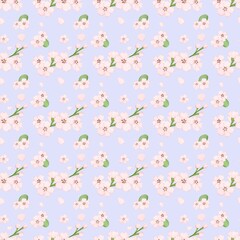 Fototapeta premium cherry blossom background