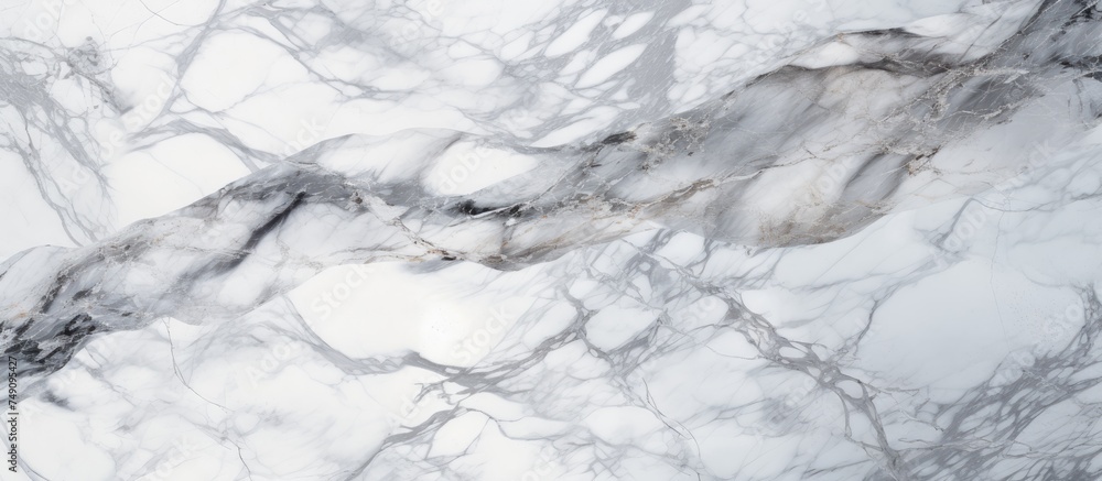 Poster this image showcases a detailed close-up view of a natural white marble surface, highlighting the in