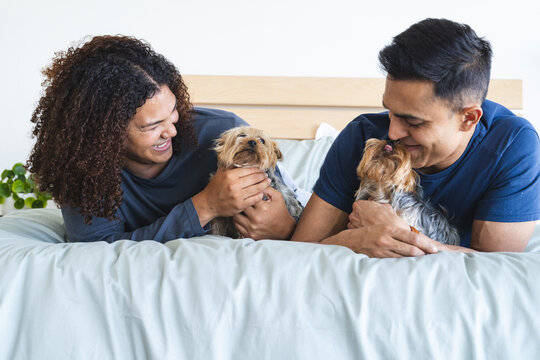 Biracial couple enjoys time with two Yorkshire Terriers on a bed