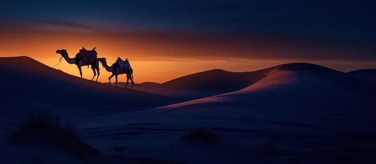 Fotobehang Night landscape desert with to camels © Hanasta