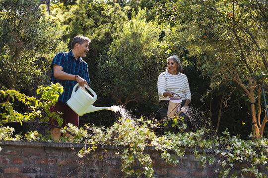 Senior biracial woman and man are tending to garden plants