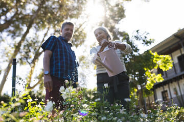 Senior biracial woman and man are tending to garden flowers