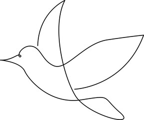 Bird Line Art