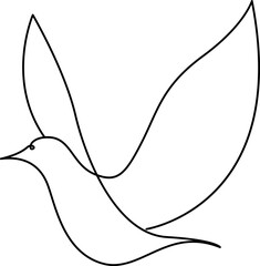Bird Line Art