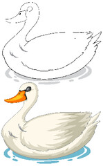 Vector art of a swan, sketched and colored versions.