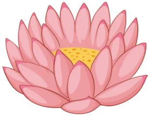 Photo sur Plexiglas Enfants Vector illustration of a blooming pink lotus.