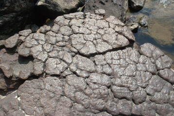 Muros,texturas,cosas de aqui y de alla,cosas que vamos encontrando.