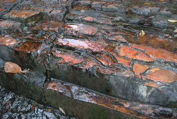Rios,pequeños,inmensos,de aguas claras,de aguas turbias,una gran bendicion tener el agua!