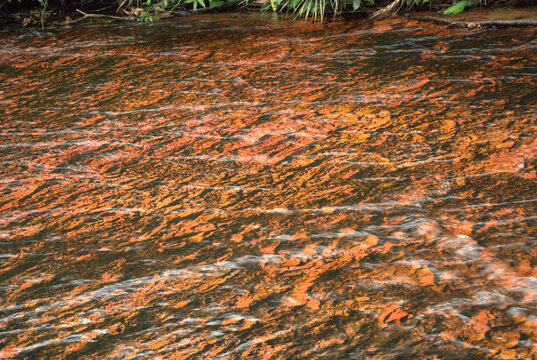 Rios,peque&ntilde;os,inmensos,de aguas claras,de aguas turbias,una gran bendicion tener el agua!