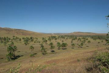 La Gran Sabana,inmensa region llena de selva,Tepuyes y rios.