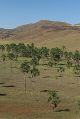 La Gran Sabana,inmensa region llena de selva,Tepuyes y rios.
