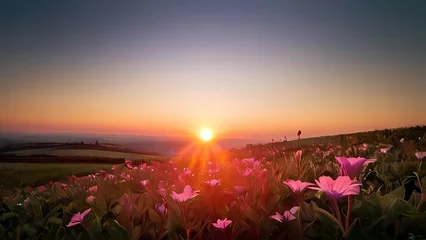 Tuinposter sunrise in the field © ehtasham