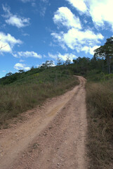 Fototapeta na wymiar La Gran Sabana,inmensa region llena de selva,Tepuyes y rios.