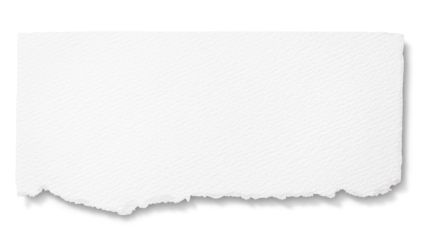 引きちぎられた紙片のテクスチャー