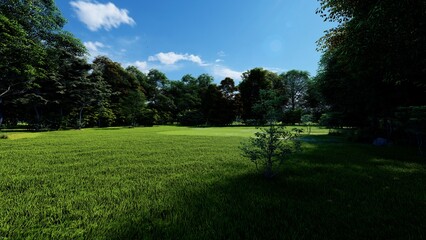 Obraz premium trees and sky