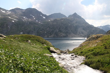 A crystal-clear stream gently meandering through vibrant green hills at countryside of Spain, offering a serene and captivating sight of nature's beauty.