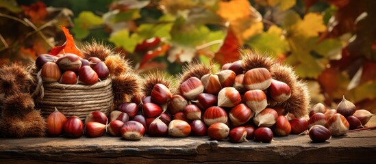 A large pile of whole raw chestnuts sits prominently on top of a wooden table, showcasing their natural and unprocessed state. The chestnuts are varied in size and color, with their spiky outer shells