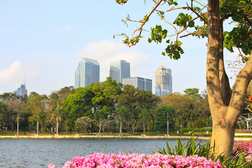 Modern Skyline near Lumphini MRT Station as Viewed from Benchakitti Forest Park, Bangkok, Thailand