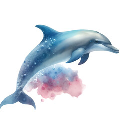 Dolphin PNG