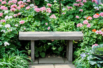 Single blank bench with colorful pink flower blooming and green leaf in garden scenic summer background