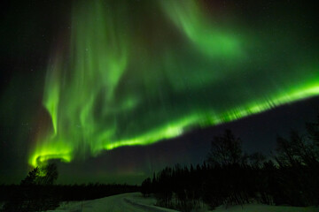 Colourful Northern Lights or Aurora Borealis in Lapland above the arctic circle in the north of Finland, around Pallas National Park