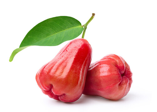 Juicy red rose apples isolated on white background. Clipping path.