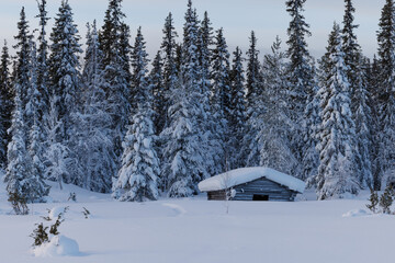 Hut in the forest grown over with frost in deep Winter in northern Finland, above the arctic circle, in Pallas Yllästunturi National Park around Muonio.