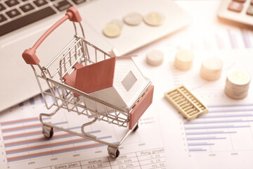 Coins, abacuses, laptops, and houses placed in shopping carts on financial data reports