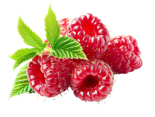 Branch of delicious, ripe raspberries white background PNG