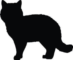 Cat Silhouette illustration Vector White Background