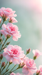 mini-carnation-flowers-arranged-in-a-delicate-frame-on-a-simple-backdrop-shimmering-with-sparkling