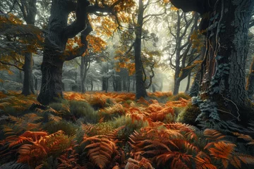 Photo sur Plexiglas Gris 2 Temperate deciduous forest autumn forest red orange.An ancient forest with giant trees and a carpet of ferns oak beech maple willow mysterious and ancient nature landscape fantasy nature background