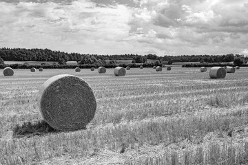 black and white picture of a stubble field with haybales