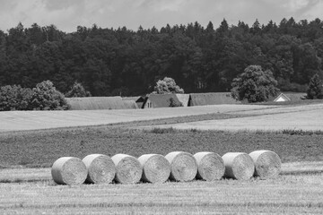 black and white picture of a stubble field with haybales