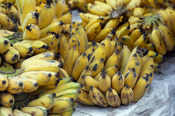 Bananas at the farmer's market 