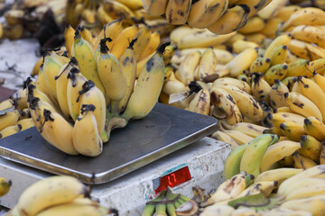 Bananas  on the weighing machine at  market 
