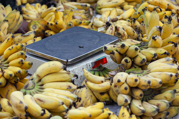 Bananas at the market around the weighing machine