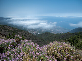 Blick auf Puerto de la Cruz