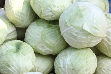 Cabbage in the farmer's market
