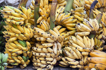 bunch of bananas on the farmers market