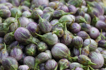 fresh eggplants in the farmer's market	
