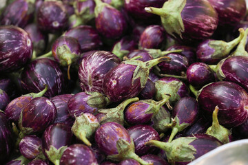 fresh eggplants in the farmer's market