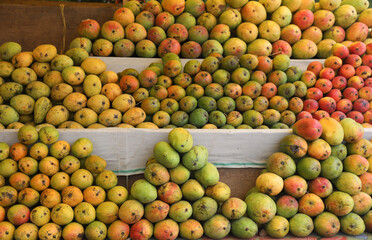 Different types of mangoes at farmer's market