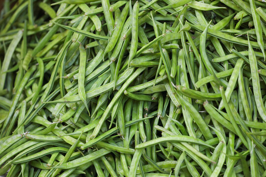 A pile of green Cluster beans
