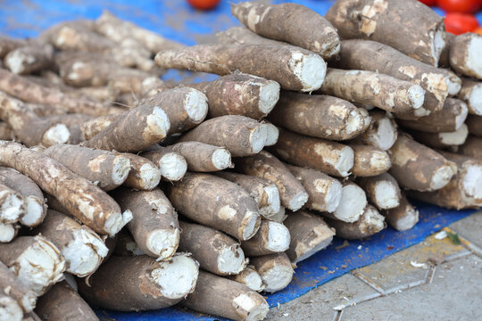 pile of Fresh Cassava roots for sale at farmer's market	
