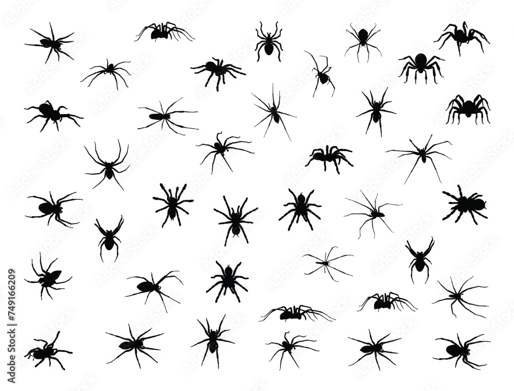 Sticker Spider silhouette vector art white background