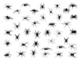 Spider silhouette vector art white background