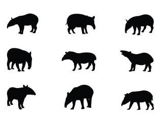 Tapir silhouette vector art white background