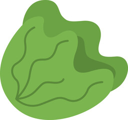 Green Cabage Illustration