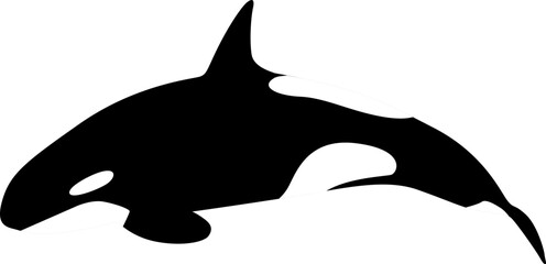 Orca whale sea © Abdur